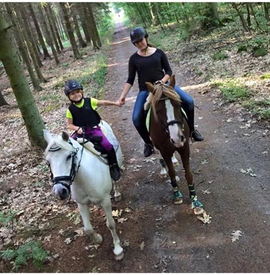 Anden særlig race Kastaniebakkens Garonjo  billede 17