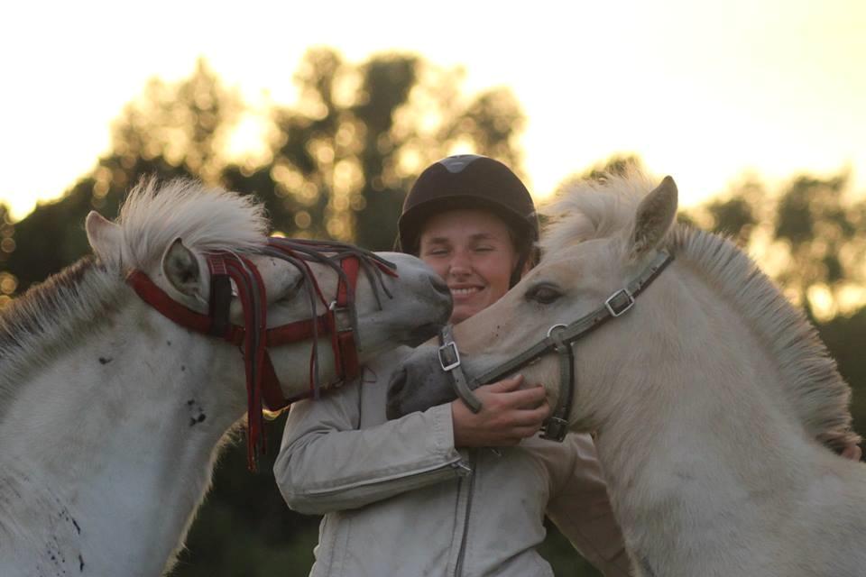 Fjordhest Novus Emil billede 16