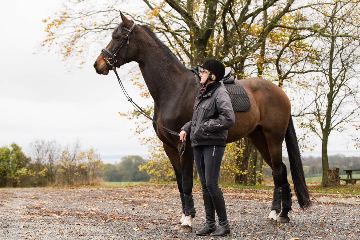 Dansk Varmblod Manja billede 3