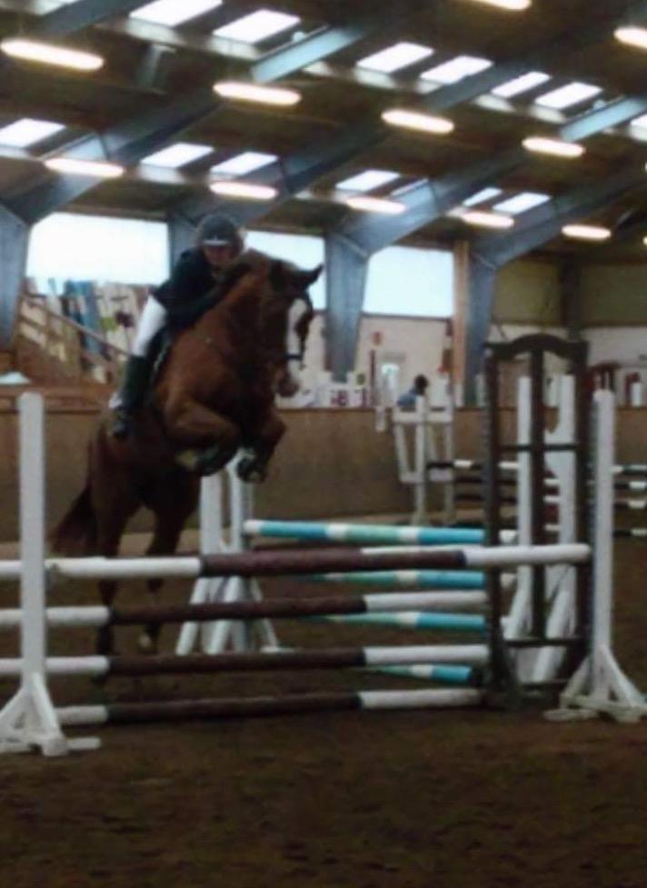 Anden særlig race Skovlunds Lacoste  billede 19