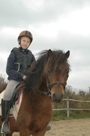 Dartmoor Cayberry Dark Gale - I tilridning, 2013. billede 18