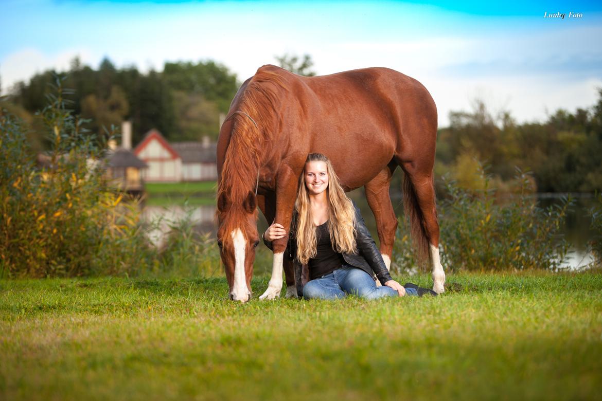 Anden særlig race † Tess † billede 2