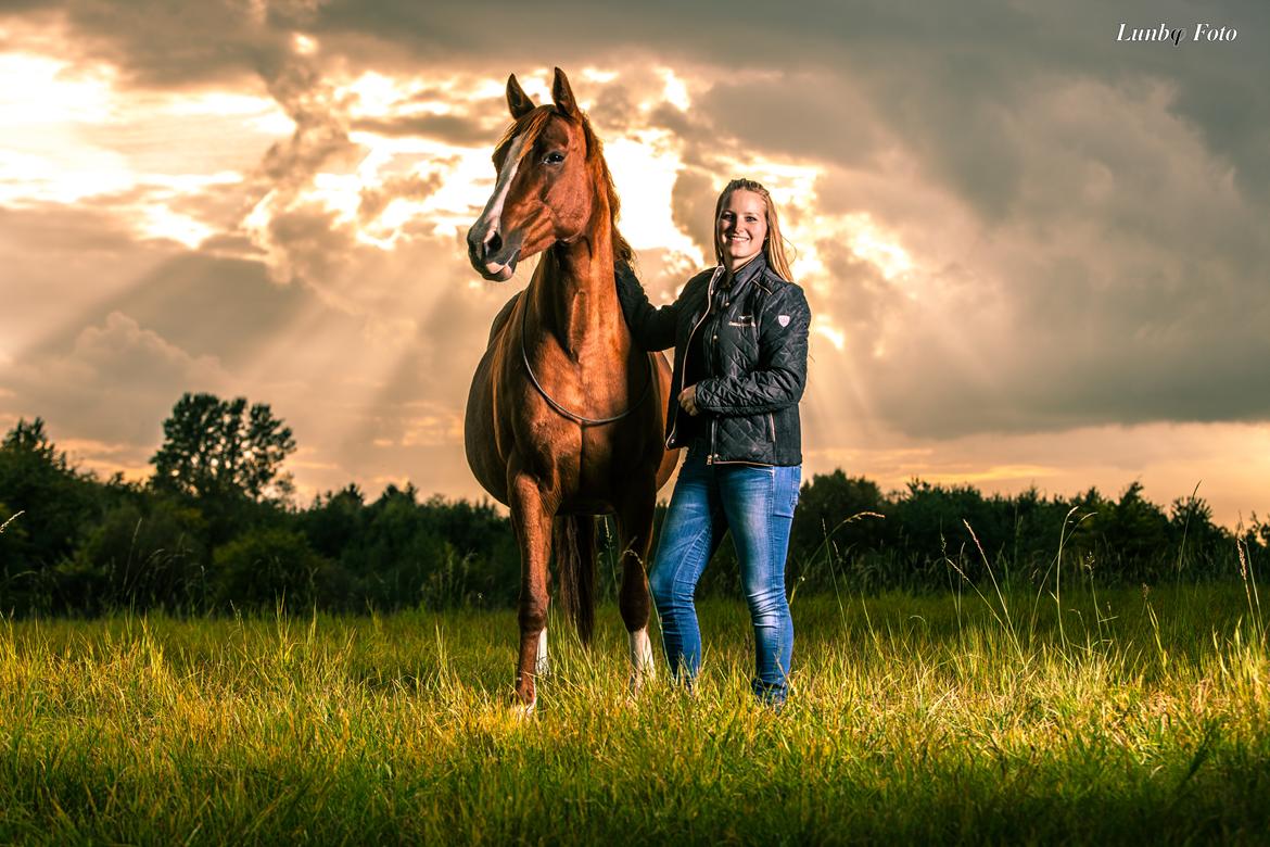 Anden særlig race † Tess † billede 4