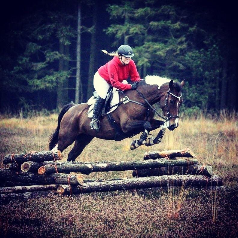 Pinto Thiamo billede 14