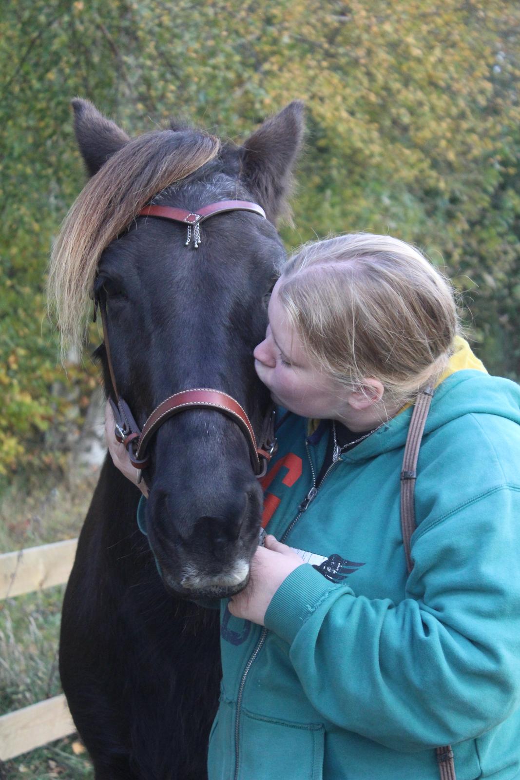 Islænder Heimir fra Blönduósi - Et billede siger mere end 1000 ord. <3  billede 16