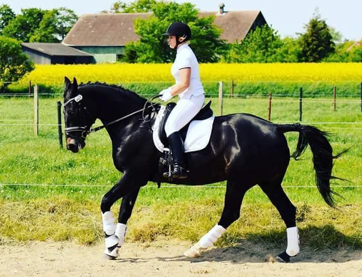 Oldenborg Schousboes Fie billede 1