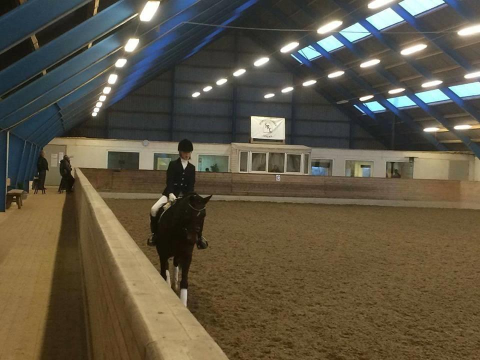 Tysk Sportspony Burghof´s voyager - Lerbæk novembner 2016 billede 35