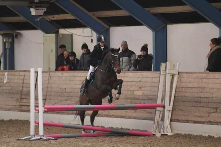 Tysk Sportspony Burghof´s voyager - Lerbæk novembner 2016 billede 38