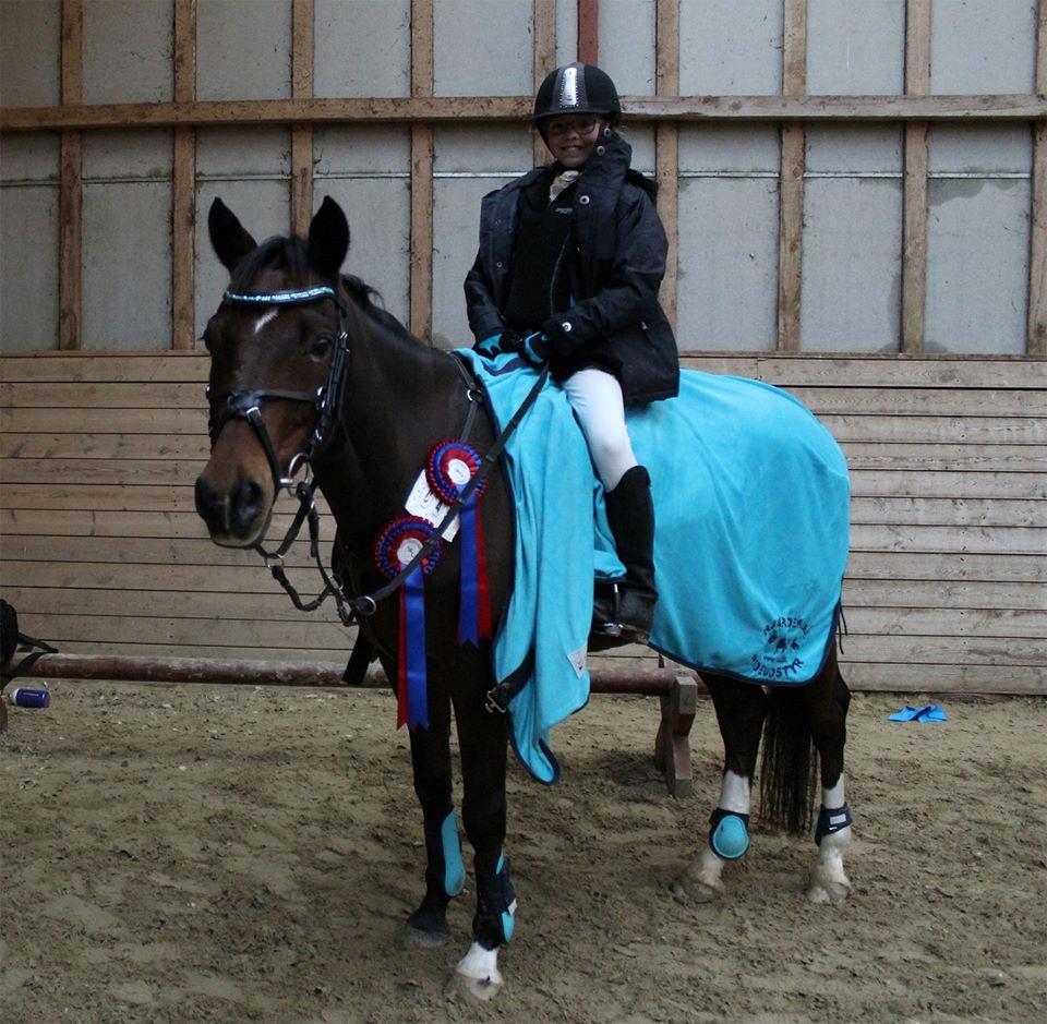 Tysk Sportspony Burghof´s voyager - Lerbæk novembner 2016 billede 39