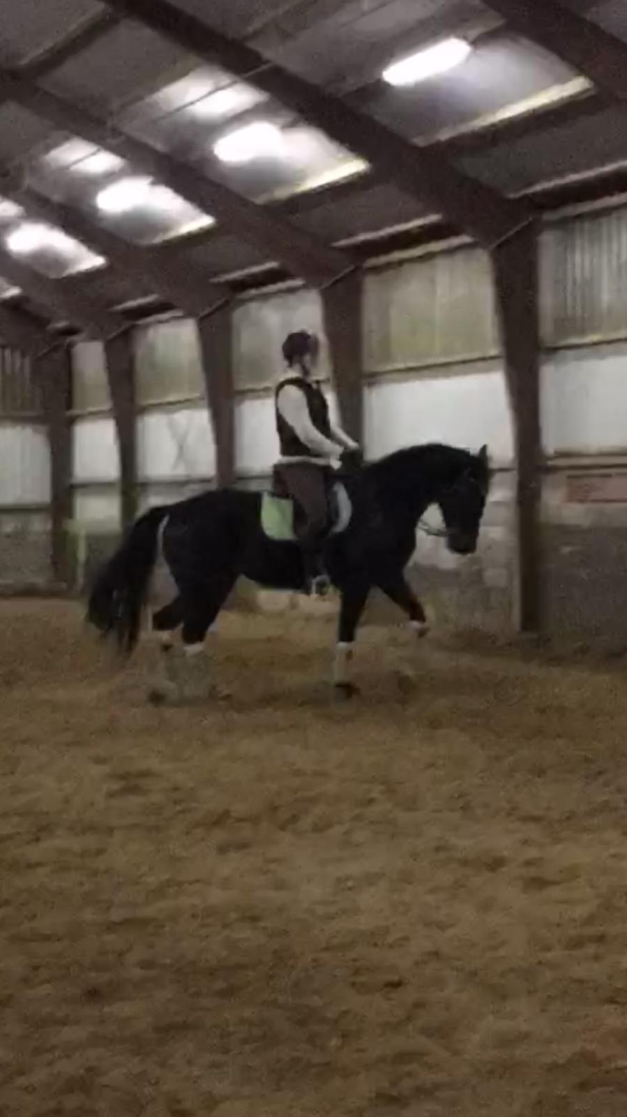 Traver Alica Gold  billede 42