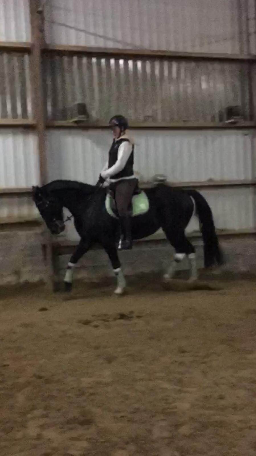 Traver Alica Gold  billede 43