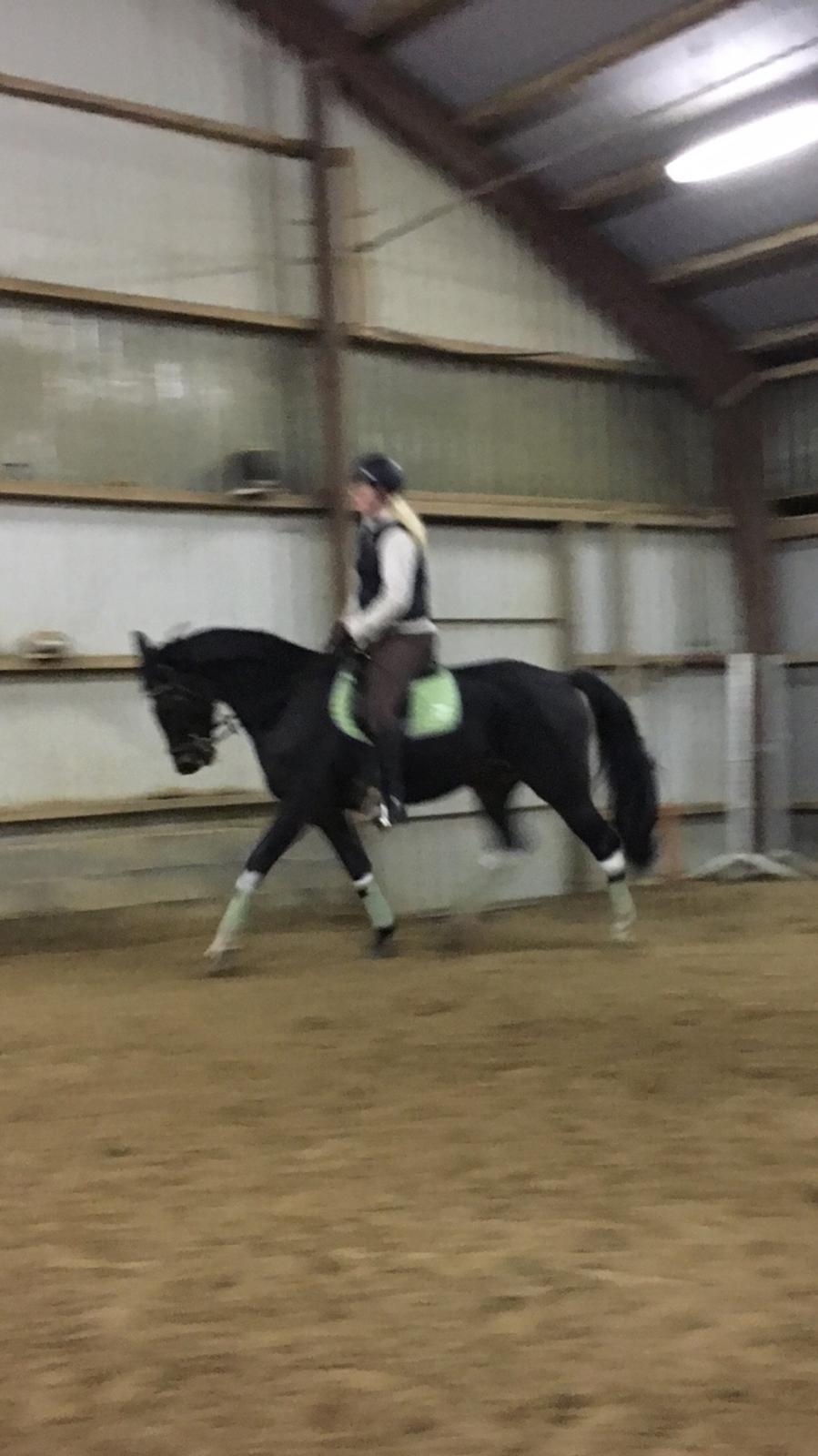 Traver Alica Gold  billede 44