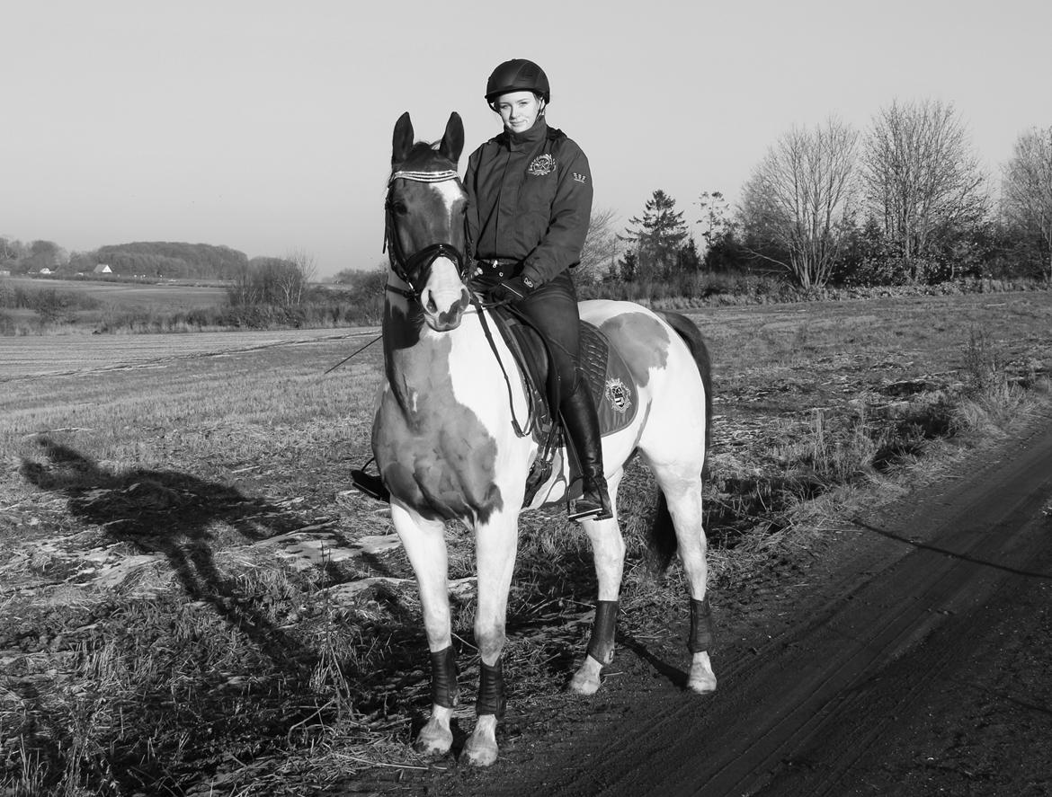 Pinto Rts-elegance india billede 1