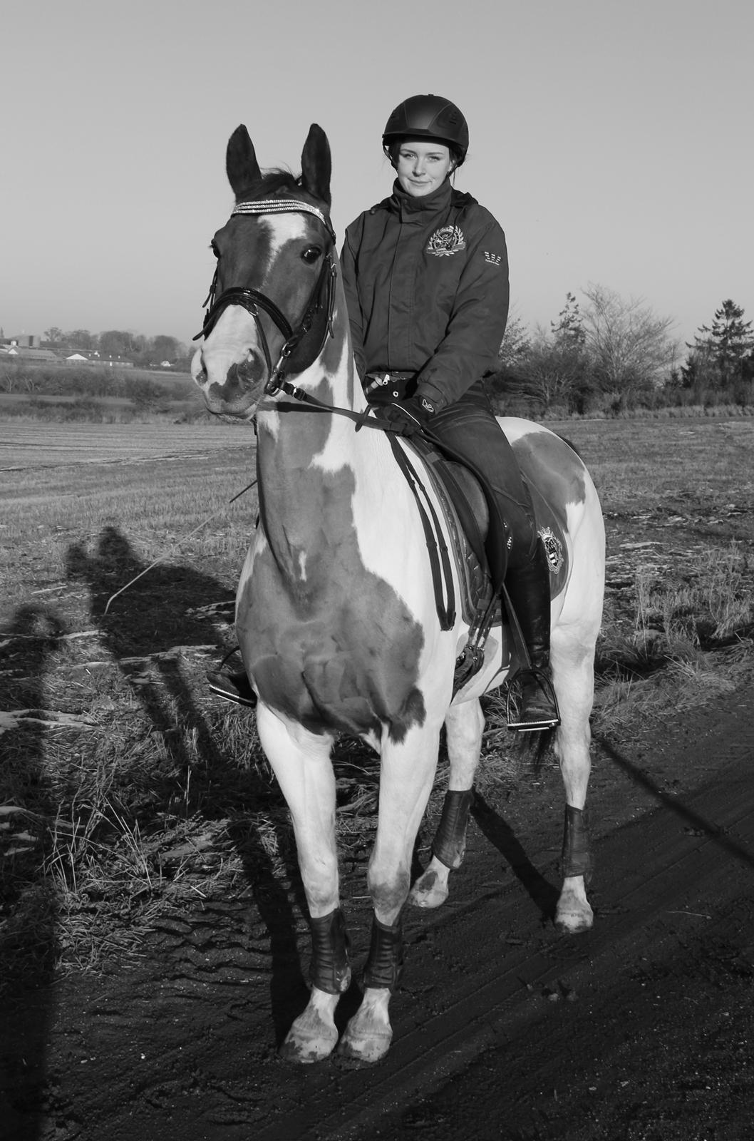 Pinto Rts-elegance india billede 3