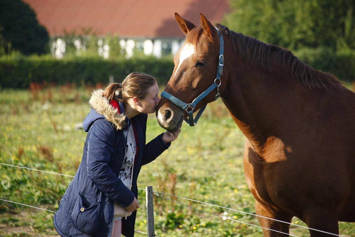 Anden særlig race Cassiopeia billede 10