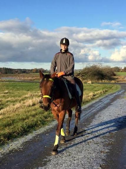 Traver Jovial Millpond billede 16