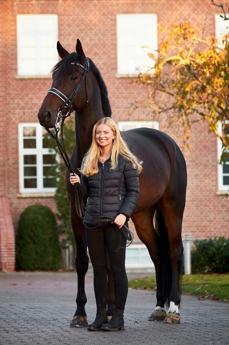 Anden særlig race Alonso A-hest billede 20