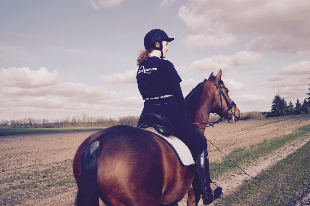 Anden særlig race Brilliant Sky billede 11