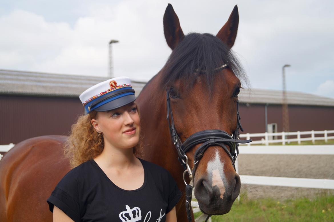 Anden særlig race Brilliant Sky billede 1