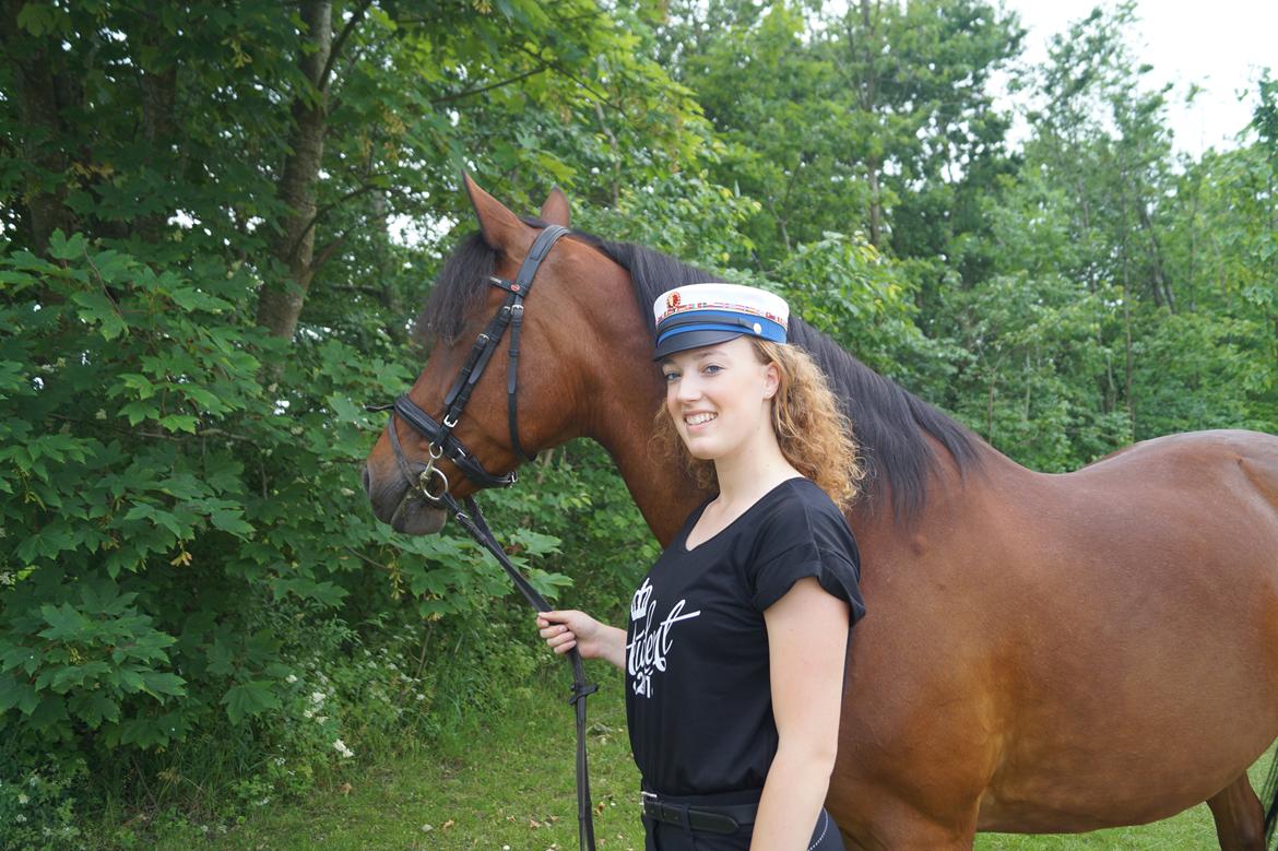 Anden særlig race Brilliant Sky billede 13