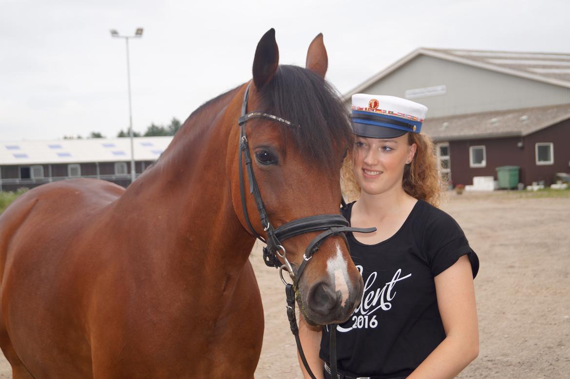 Anden særlig race Brilliant Sky billede 9