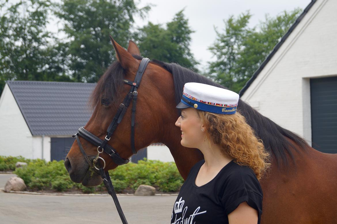 Anden særlig race Brilliant Sky billede 4