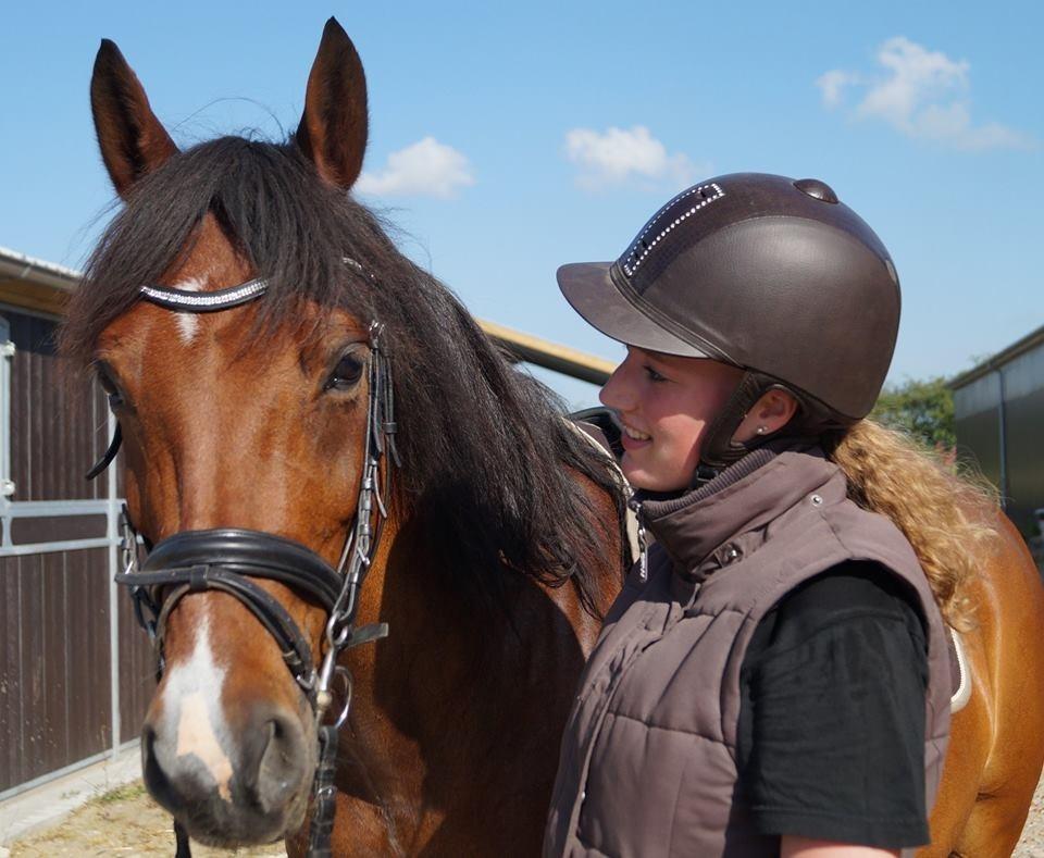 Anden særlig race Brilliant Sky billede 16