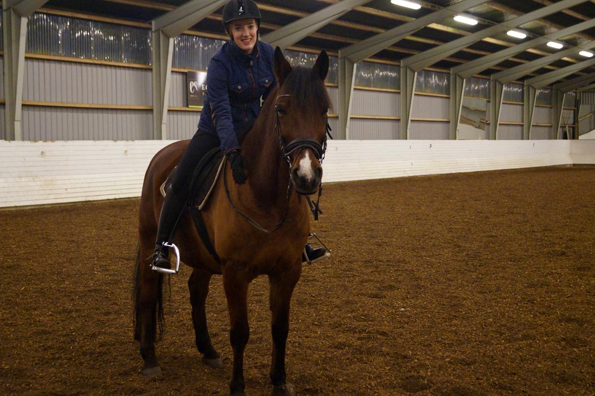 Anden særlig race Brilliant Sky billede 20