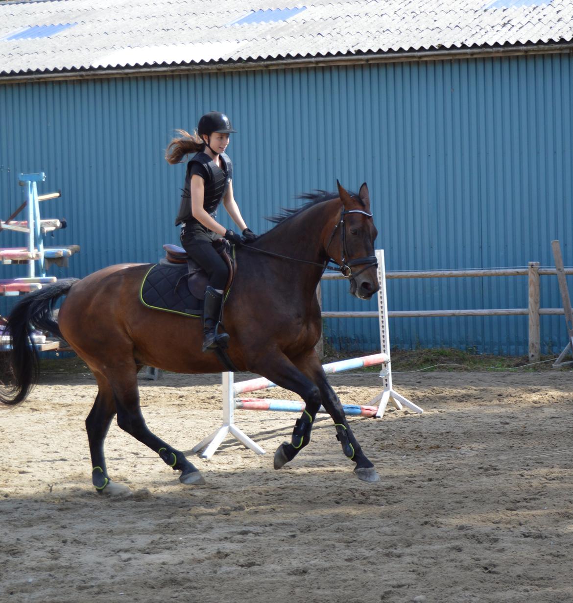 Oldenborg Nabih Adoa (himmelhest)  billede 8