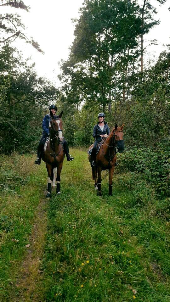 Anden særlig race Filur billede 14