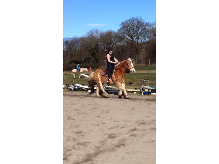 {{currentPhoto.altText}} billede {{currentPhoto.number}}