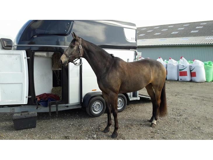 {{currentPhoto.altText}} billede {{currentPhoto.number}}