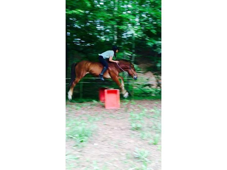 {{currentPhoto.altText}} billede {{currentPhoto.number}}