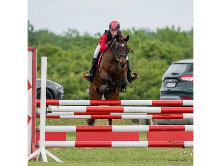 {{currentPhoto.altText}} billede {{currentPhoto.number}}