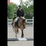 Anden særlig race Skovlundegårds Bellis