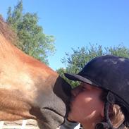 Anden særlig race Skovlundegårds Bellis