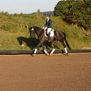 Oldenborg Sandokan Star