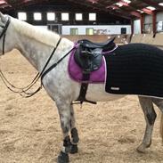 Connemara Umrigar Star