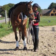 Anden særlig race McKinney