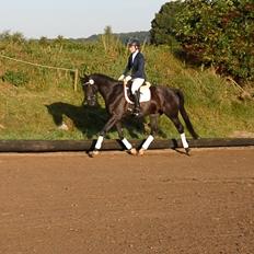 Oldenborg Sandokan Star