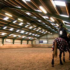 Anden særlig race Salshøjs Malou