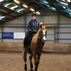 Anden særlig race Salshøjs Malou