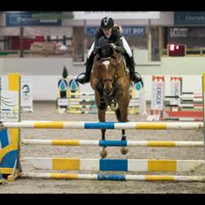 Anden særlig race Contador