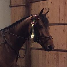 Anden særlig race Contador