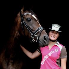 Dansk Varmblod Alexandra