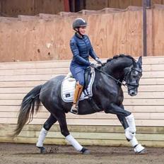 DSP Mr. Magic af Dano