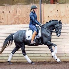 DSP Mr. Magic af Dano