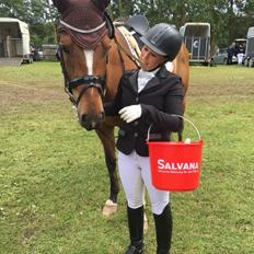 Dansk Varmblod Dragonfly graftebjerg