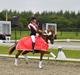 Tysk Sportspony FB Gangster A Pony