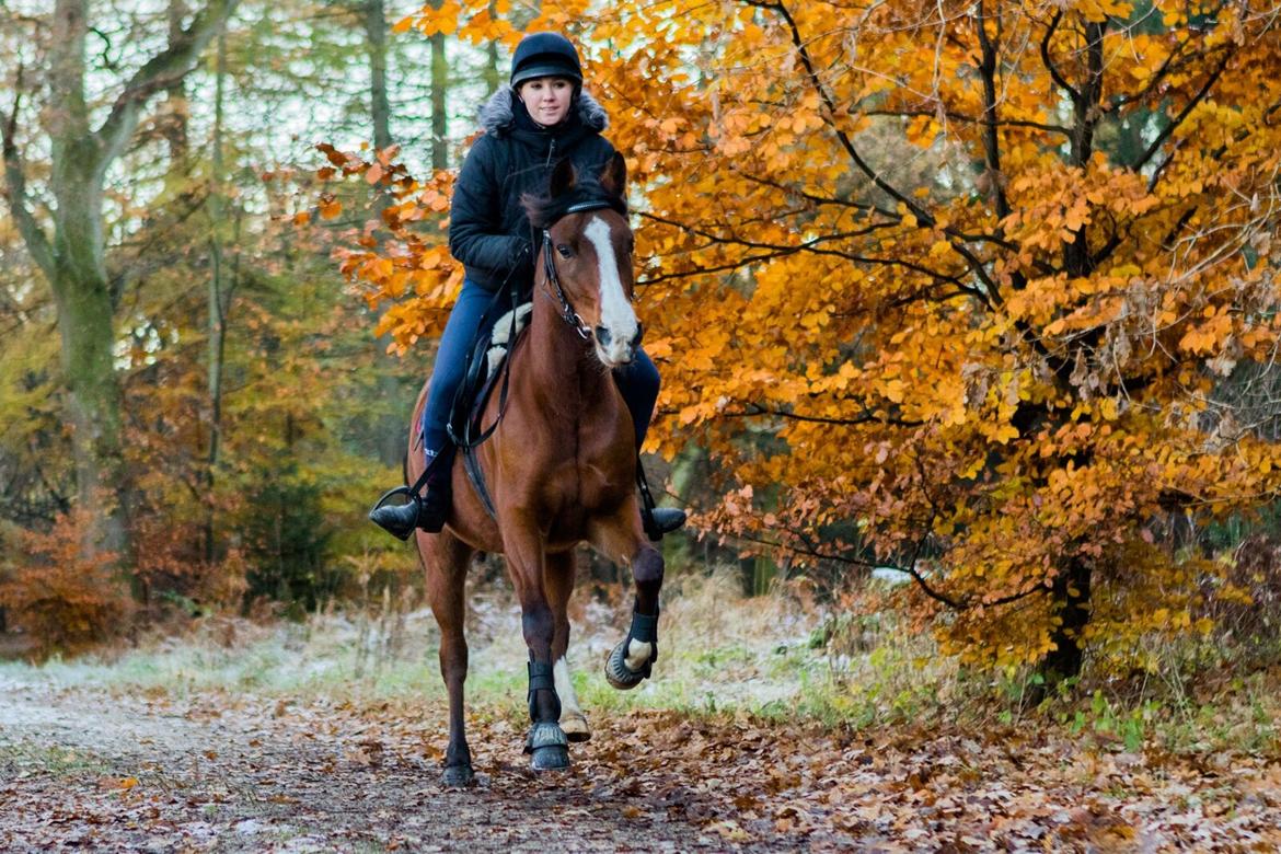 Anden særlig race Princess // P // My one and only billede 5